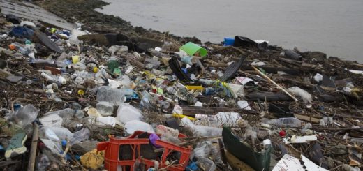 Basura plástico
